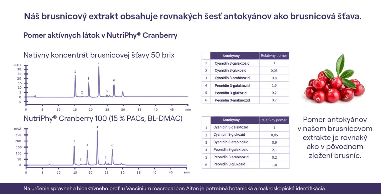 ORIN UROFEMINA na močové cesty